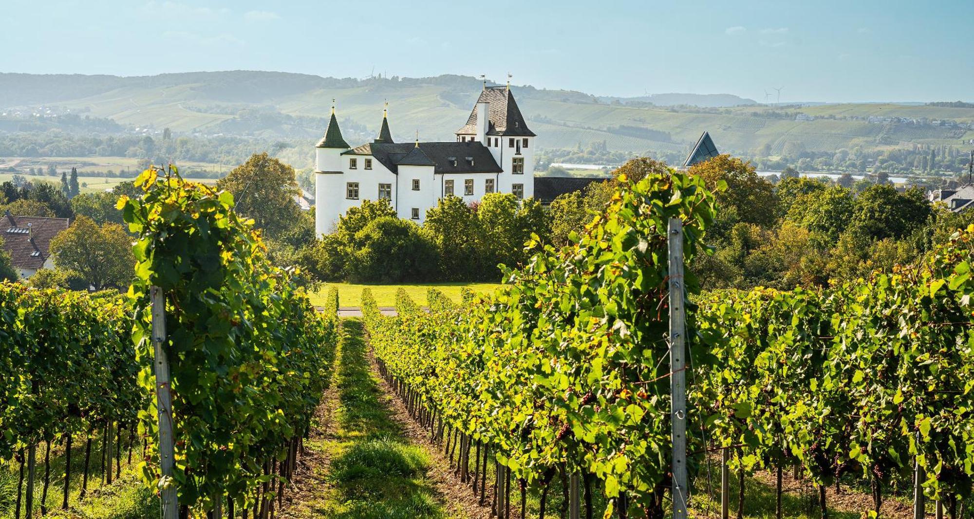 Victor'S Residenz-Hotel Schloss Berg Nennig Eksteriør bilde Schloss Vollrads